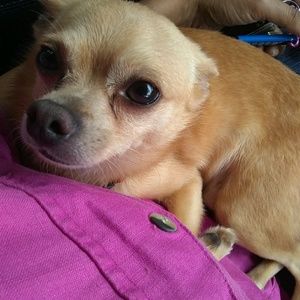 Meet your Posher, Alicia